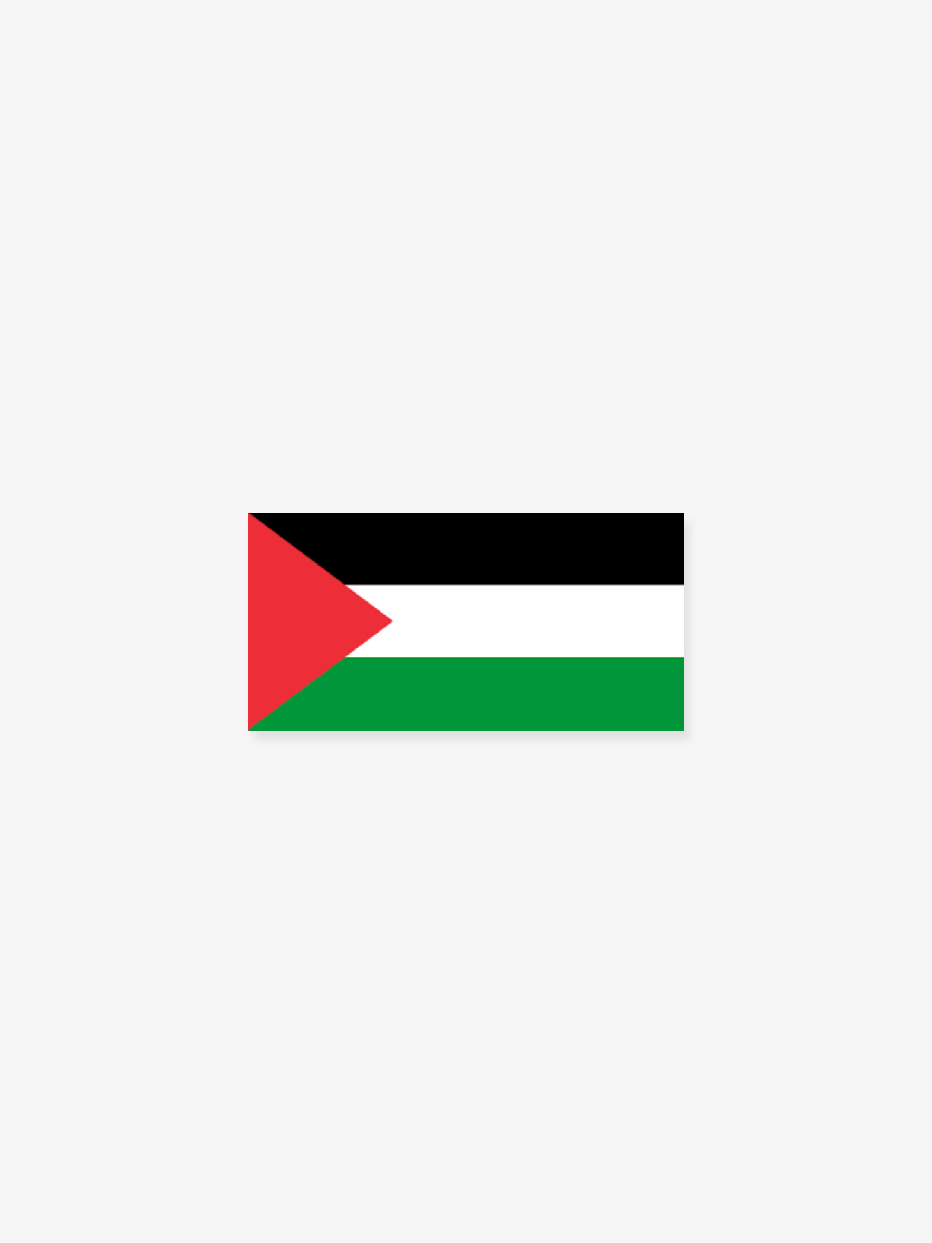 Palestine Lapel Pins